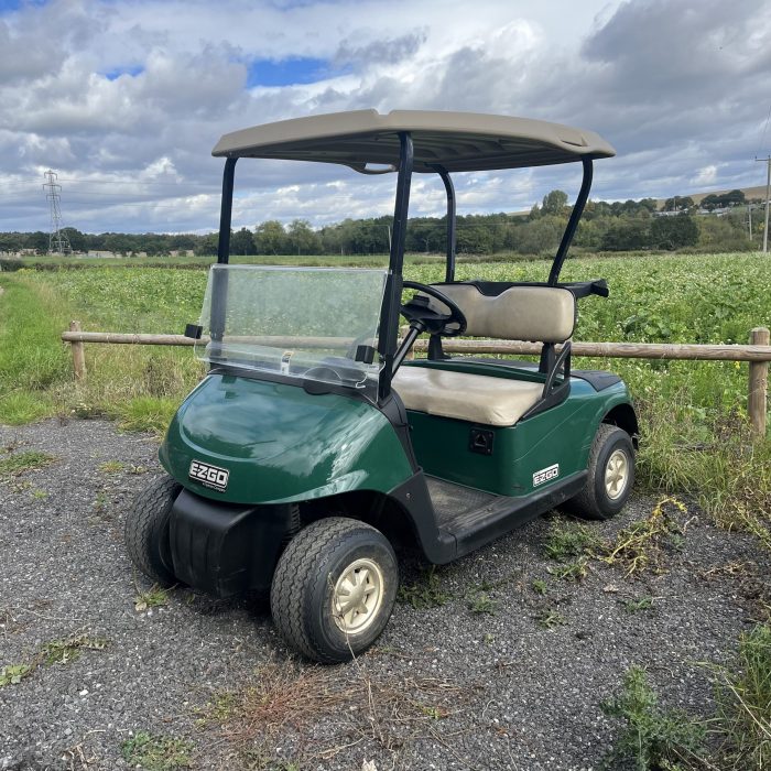 Ezgo RXV 48v Golf Buggy - Image 2
