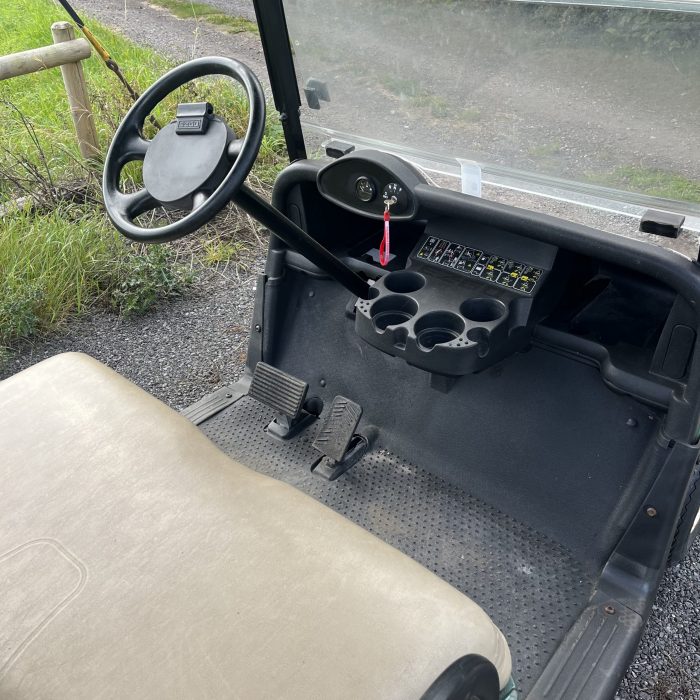 Ezgo RXV 48v Golf Buggy - Image 4