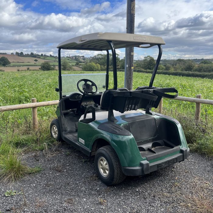 Ezgo RXV 48v Golf Buggy - Image 3